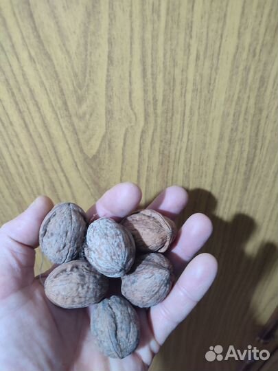 Грецкий орех