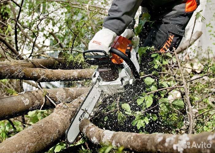 Покос травы триммером,спил деревьев,чистка участка