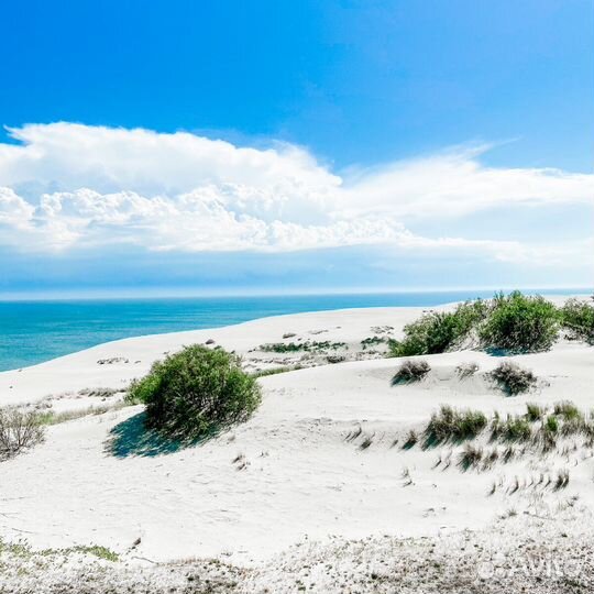 Экскурсионные туры в Калининград