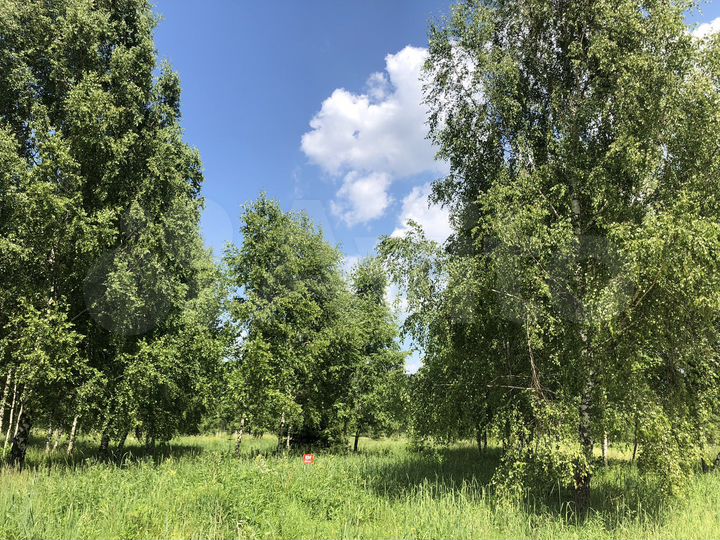 Участок 8 сот. (ИЖС)