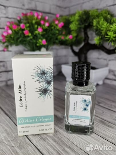 Унисекс духи Atelier Cologne Cedre Atlas