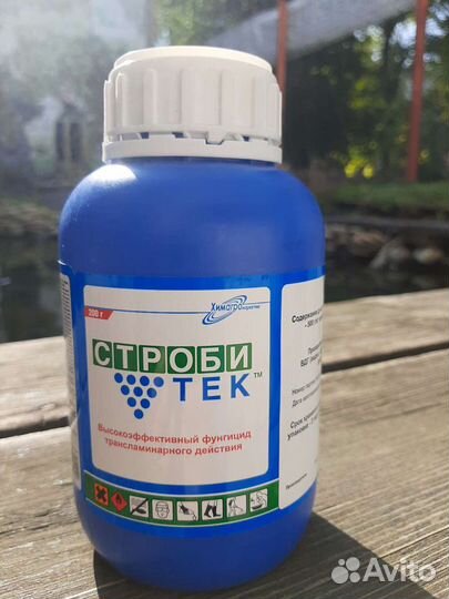 Строби, Строби Тек