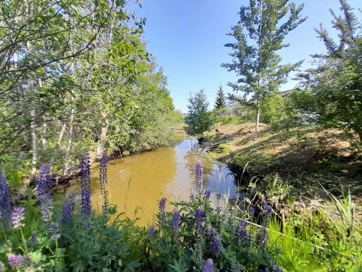 Дом 45 м² на участке 12 сот.