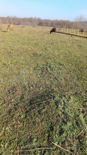 Участок 22,5 сот. (СНТ, ДНП)