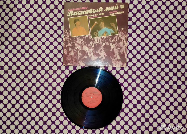 Виниловые пластинки, коллекции