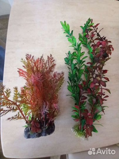 Искусственные растения