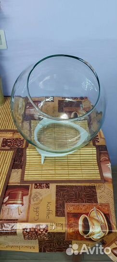 Аквариум-террариум