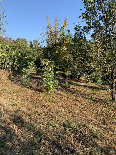 Участок 34 сот. (ИЖС)