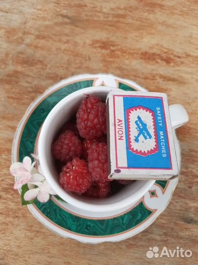 Саженцы малины ремонтантной, желтой, красной