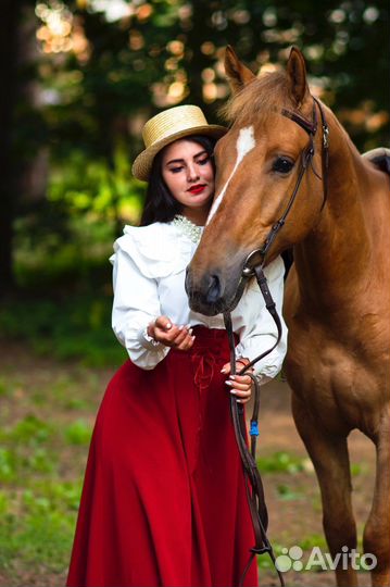 Конные прогулки