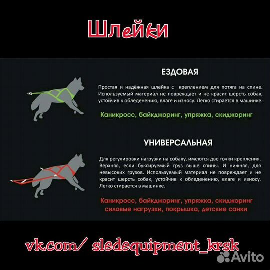 Шлейки и амуниция для собаки