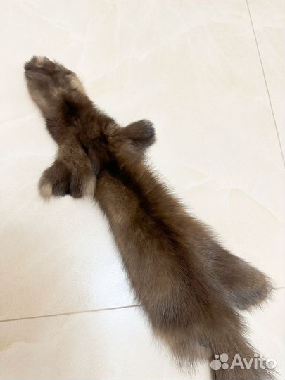 Шкурки куницы