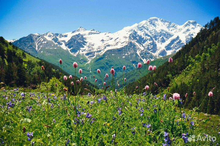 1сен24 тур Сокровища Северного Кавказа рэ3014