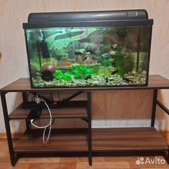 Аквариум с тумбой бу
