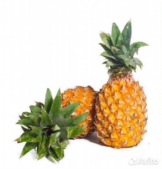 Ананас Голд