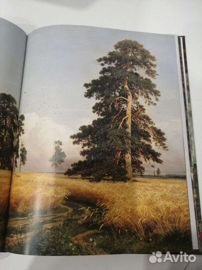 Книга Иван Шишкин