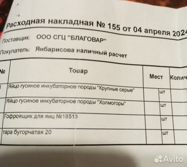 Гусята суточные серые крупные