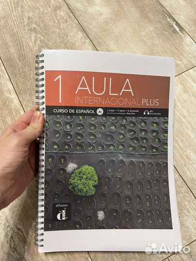 Aula internacional 1 libro