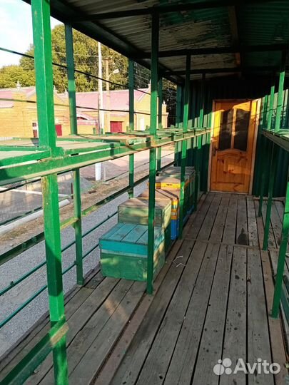 Пчелопавильон