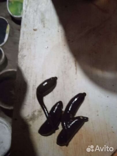 Пиявка чёрная