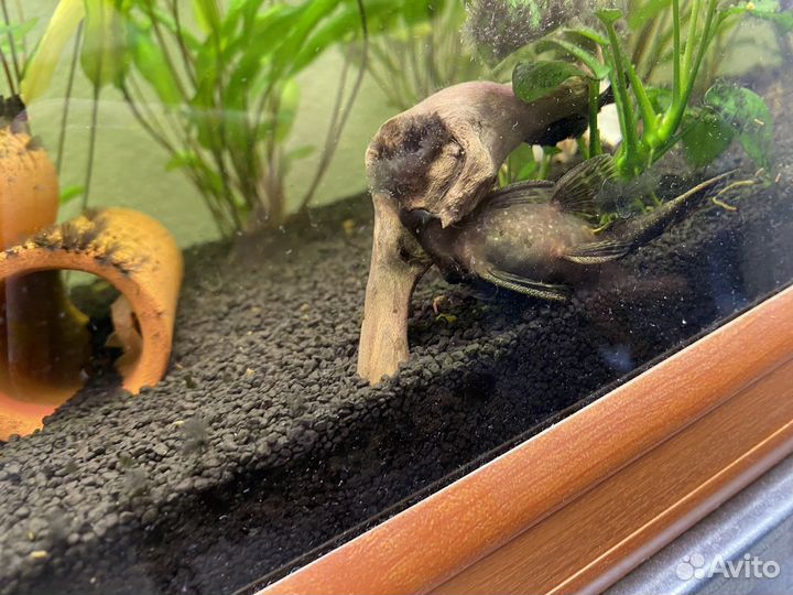 Аквариум с подставкой, фильтр барбус. 125литров