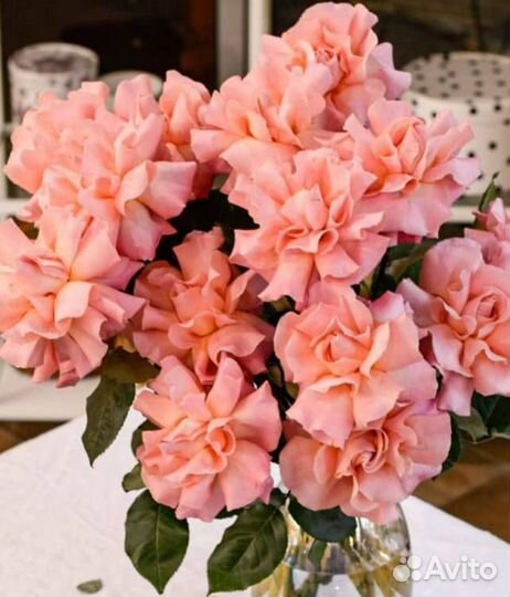 Шикарный букет из французской розы