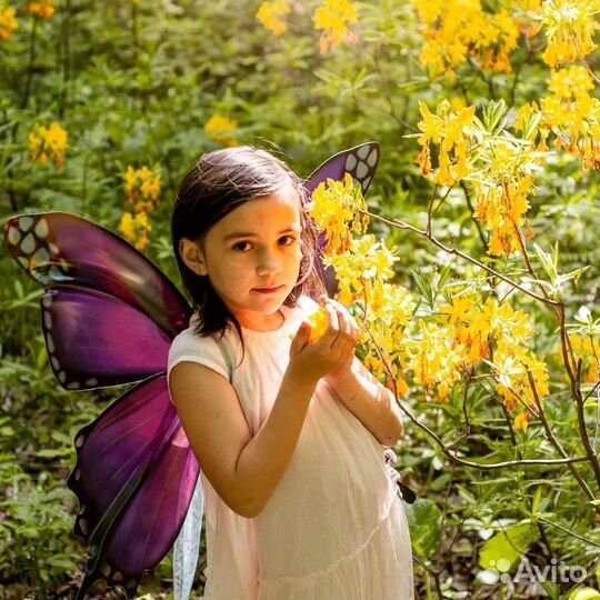 Крылья бабочки для фотосессии для карнавала