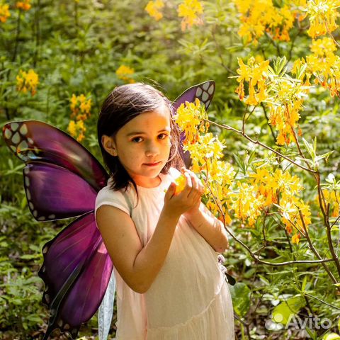 Крылья бабочки для фотосессии для карнавала