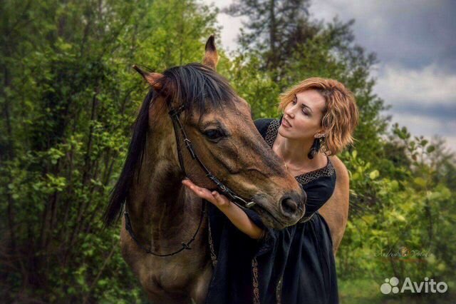 Конные прогулки