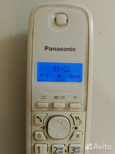 Panasonic