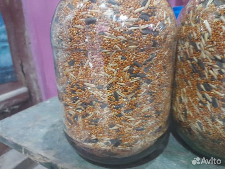 Корм для попугаев