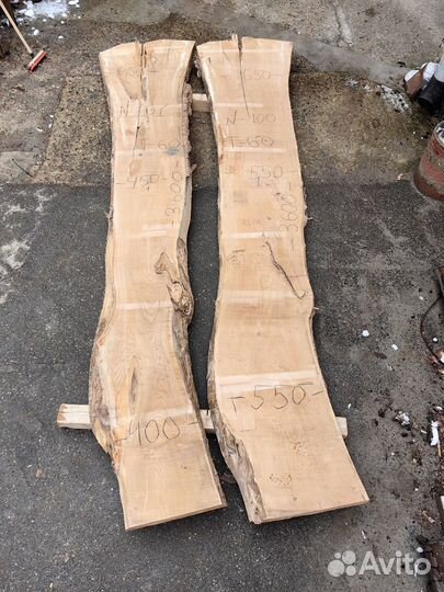 Слэб каповый карагач