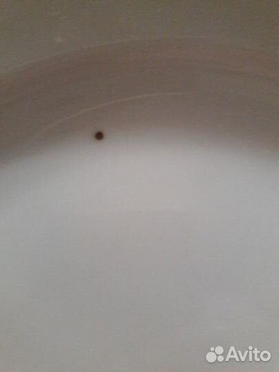 Тарелка из Чехословакии