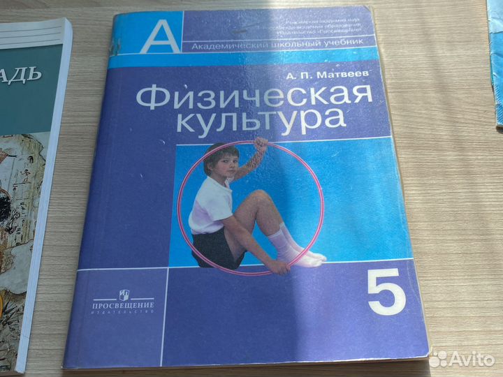 Рабочие тетради 5 класс