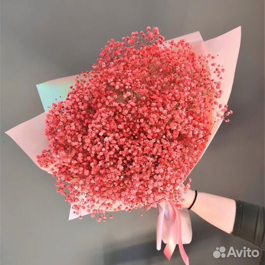 Гипсофила Голладская Цветы Букеты Доставка 24/7