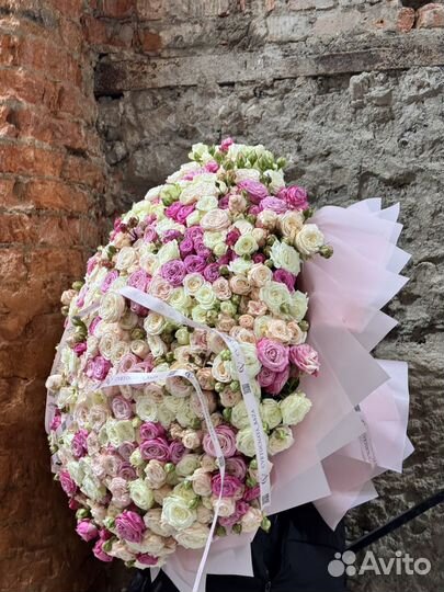 201 пионовидная роза / кустовые розы