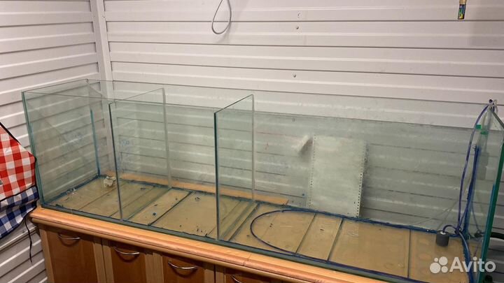 Аквариум для рыбы рака