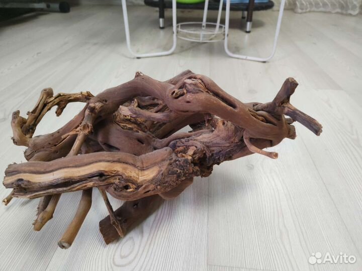 Для аквариума