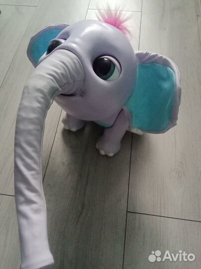 Слоненок джуно