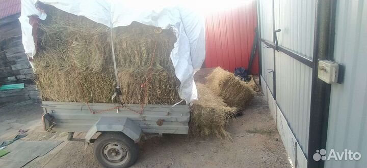 Сено луговое Тюки от 5ти штук