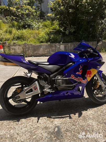 Honda cbr600rr