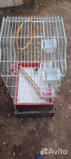 Клетка для попугая