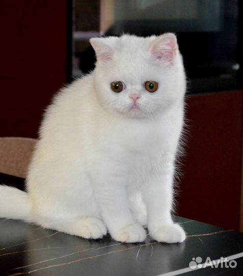 Малышка Николь, 4 месяца