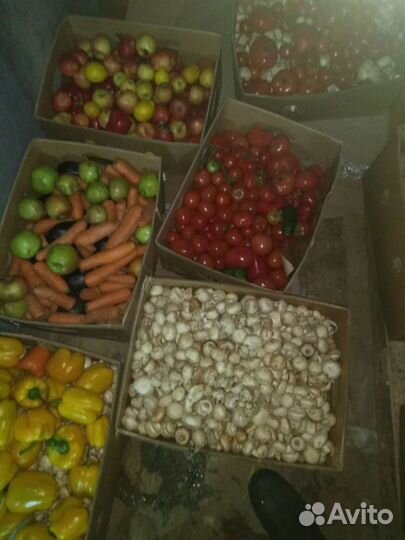 Овощи и фрукты, хлеб