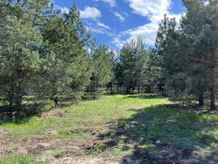 Участок 8 сот. (ИЖС)