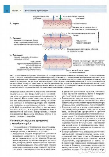 Патологическая анатомия по Роббинсу