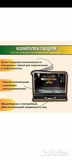 Перепелиная мини-ферма