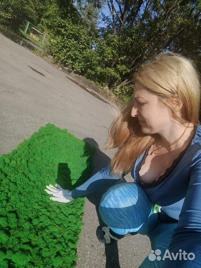 Стены, панно, картины из мха растений. Арт256, от