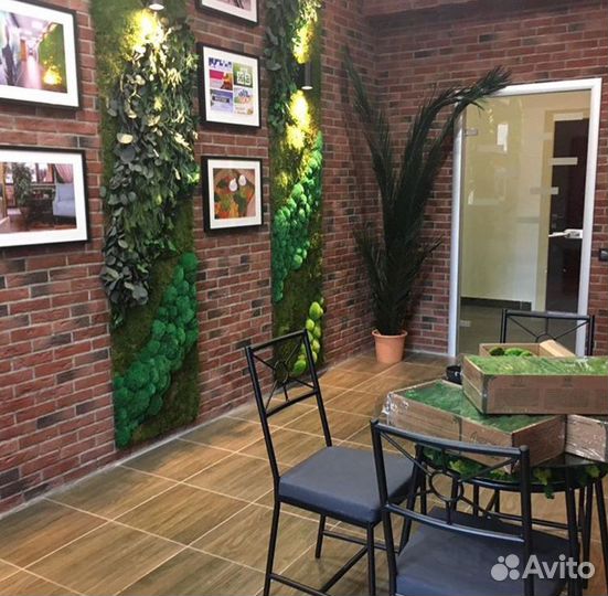 Картина из мха в ресторан или кафе