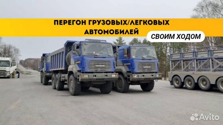 Перегон грузовых/легковых автомобилей по всей РФ